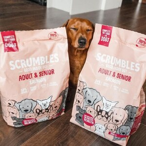 Dog Likes Scrumbles Adult & Senior Salmon Dry Dog Food - 2kg